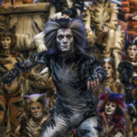 CATS – Il Musical - Catonateatro