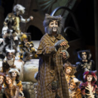 CATS – Il Musical - Catonateatro